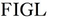 Figl