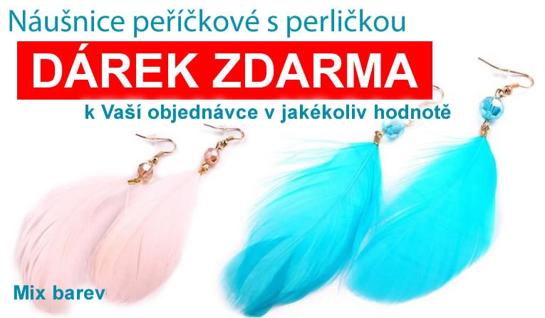 DÁREK NÁUŠNICE ZDARMA